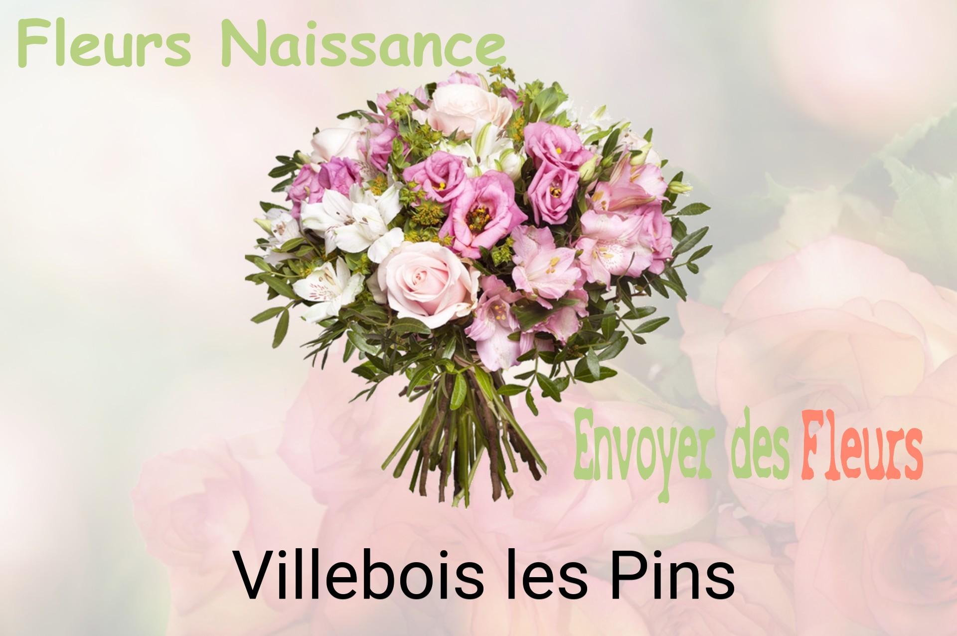 Bouquet de fleurs de naissance livré à Villebois-les-Pins