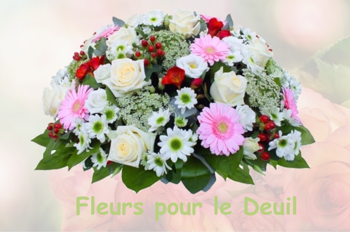 fleurs deuil VILLEBOIS-LES-PINS