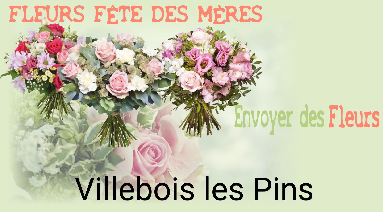 Bouquet de Fête des Mères livré à Villebois-les-Pins